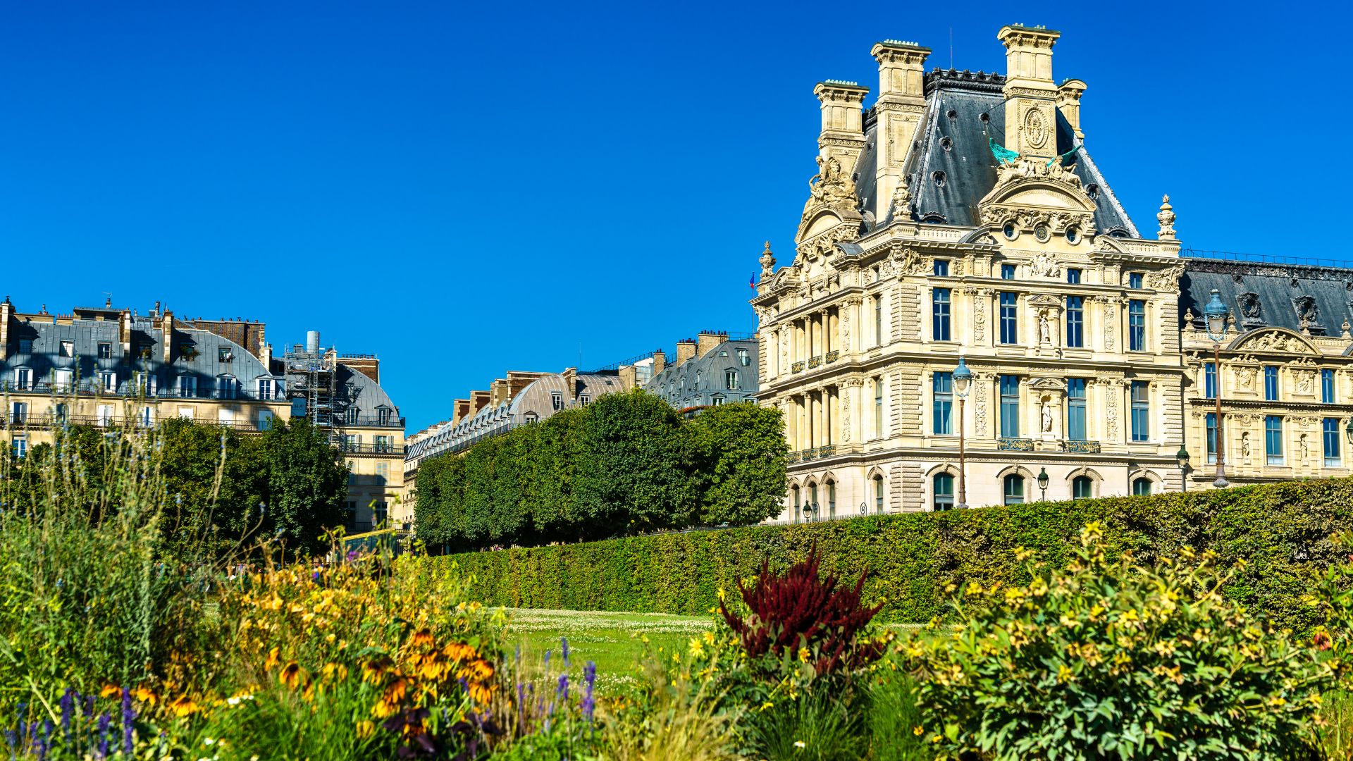 Jardin des Tuileries in Paris 1st arrondissement with flowers, trees, and historic Louvre architecture