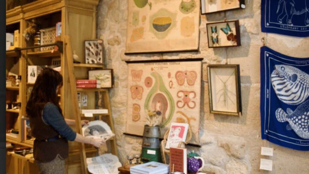 Store interior with vintage botanical and butterfly prints on a stone wall, showcasing natural history decor.
